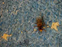Pullover 03-2015 005.webp