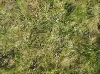 IMG_3828.webp
