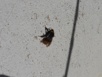 P1280858.webp