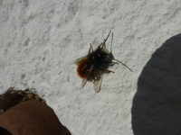 P1280863.webp