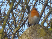 P1280886.webp