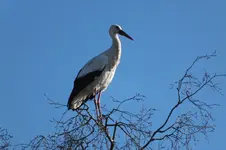 DSCF0381.webp