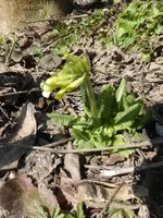 P1280817.webp