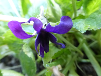 P1280875.webp
