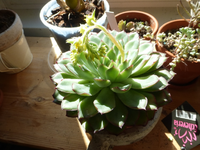 P1280844.webp