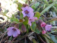 P1280804.webp