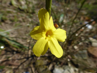 P1280820.webp