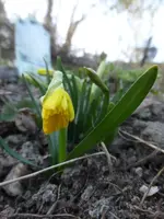 P1280873.webp
