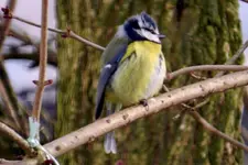 DSCN0659.webp