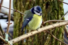 DSCN0660.webp