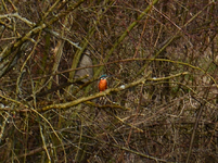 DSC_3848.webp