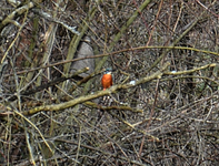 DSC_3851.webp