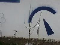 k-Obstbäume Blutapfel.webp
