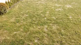 20150313_161847.webp