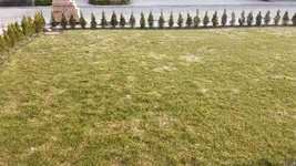 20150313_161852.webp