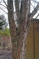 IMAG0174.webp