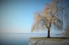 DSCF0359 (2).webp