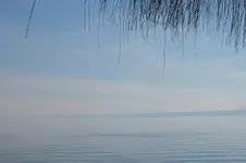 DSCF0341.webp