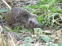 DSCN7249.webp