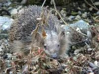 DSCN7257.webp