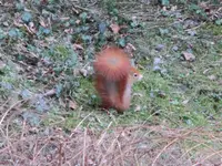 CIMG0004.webp