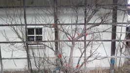 2015-03-14-8284_Schnitt.webp