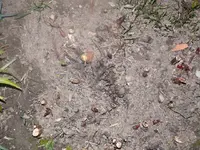 k-P1080497.webp