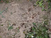 k-P1080498.webp