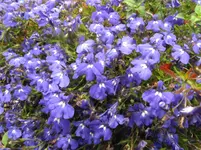 059.webp