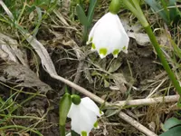 004_1024x768.webp