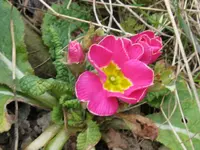 003_1024x768.webp