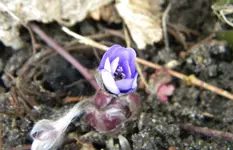 DSCN7260.webp