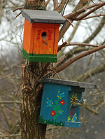 Villa_Fly Inn_ ist auch belegt_600.webp
