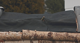 Gaze darüber gelegt_640.webp