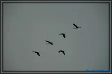 comp_DSC02855.webp