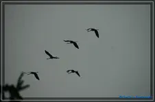 comp_DSC02857.webp