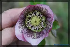 comp_DSC02860.webp