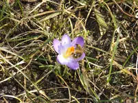 evay 023.webp
