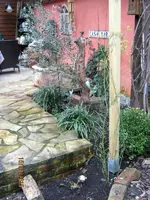 IMG_4183.webp