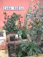 IMG_4184.webp