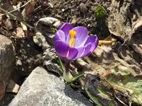 evay 034.webp