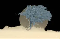 Baum kühl 2015-01-28.webp