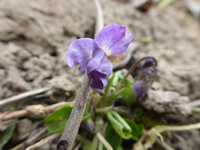 P1280938.webp