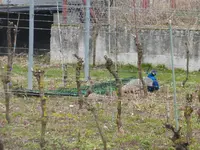 P1290031.webp