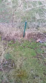 Schleifweg-2.webp