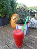 DSCN1258.webp