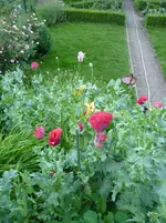 P1020185.webp