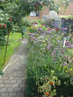 DSCN1840.webp