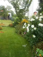 DSCN1864.webp