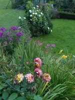 DSCN1837.webp